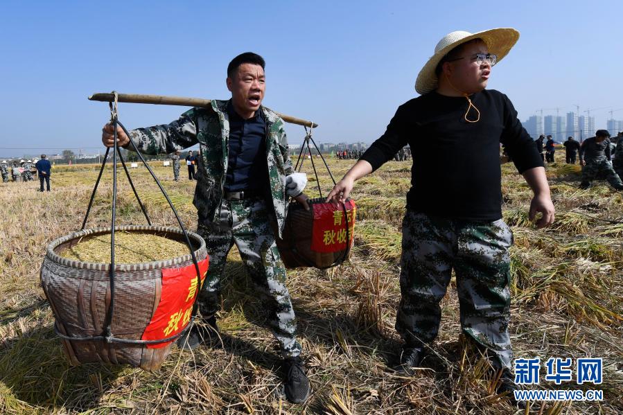 秋收劳动竞赛 传承农耕文化