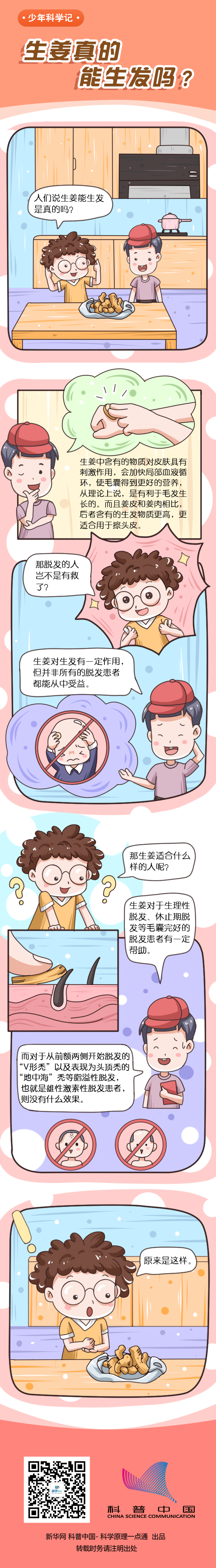 [少年科学记]生姜真的能生发吗？