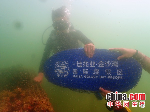 2020佳兆业金沙湾“瑜悦珊海元气节”成功举办 持续践行环保公益企业责任