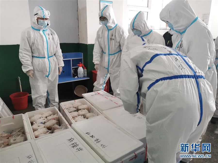 因为你们 没有一个冬天不可逾越