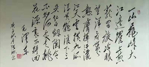 形神兼备 惟妙惟肖——记著名书法家张琳
