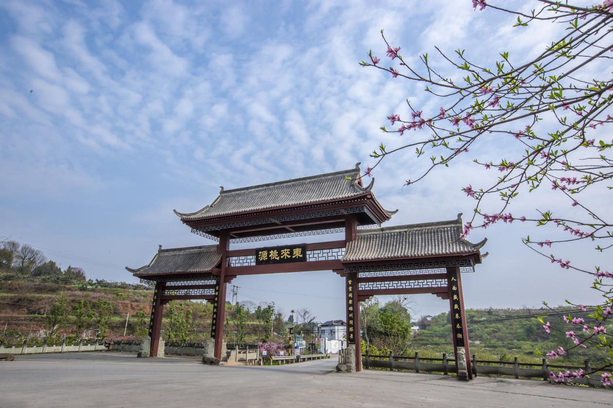 “色香味”俱全，成都东部新区首届东麓桃花季浪漫来袭