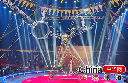 汉寿旅游新玩法！坐直升飞机游览 观赏皇家马戏演艺