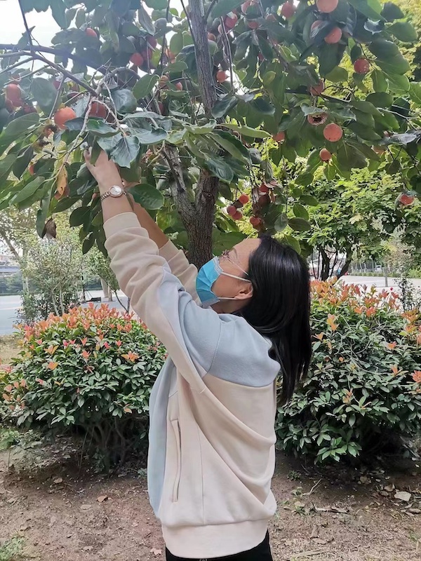“柿柿如意，步步登高”——邯郸市实验小学第四届柿子节