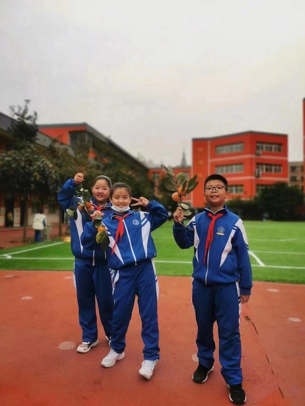 “柿柿如意，步步登高”——邯郸市实验小学第四届柿子节