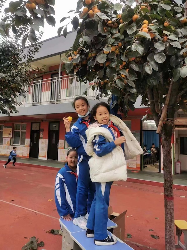“柿柿如意，步步登高”——邯郸市实验小学第四届柿子节