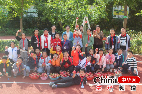 烟台市芝罘区只楚小学石榴采摘节