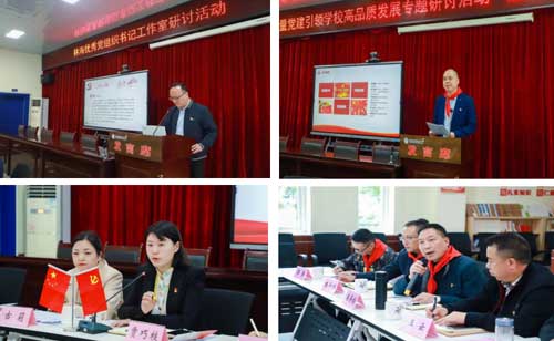 党旗领航 队旗飘扬——林海优秀党组织书记工作室以高质量党建引领学校高品质发展专题研讨