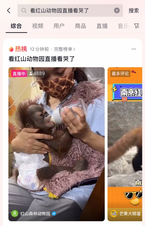 南京红山动物园在抖音公益直播，16万人次参与筹款