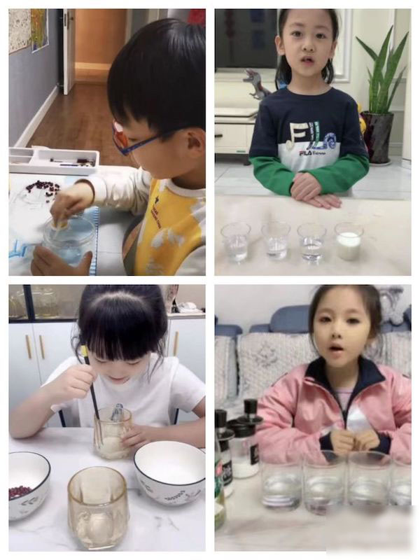 多元表现性评价，促进核心素养提升——邯郸市丛台区荀子实验第二小学一二年级期末“表现性评价”活动纪实