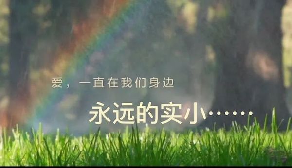 邯郸市实验小学荣获邯郸市教育局“2022年度教育宣传工作先进单位”