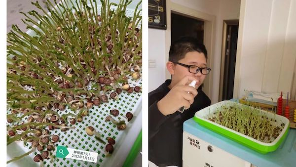 多元作业 纵享寒假 一一邯郸市丛台区展览路小学六年级数学综合实践作业展示