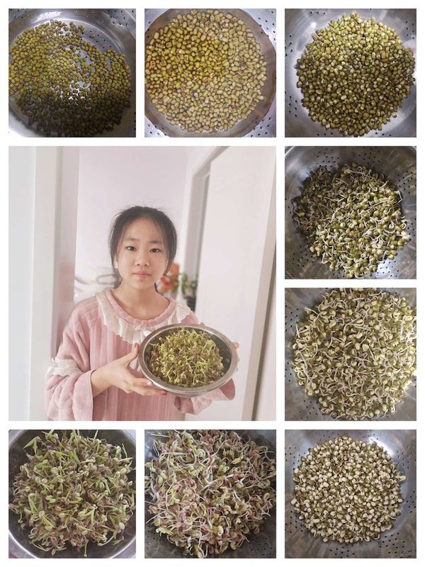 多元作业 纵享寒假 一一邯郸市丛台区展览路小学六年级数学综合实践作业展示