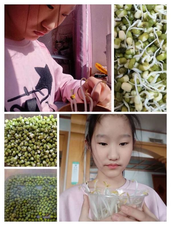 多元作业 纵享寒假 一一邯郸市丛台区展览路小学六年级数学综合实践作业展示