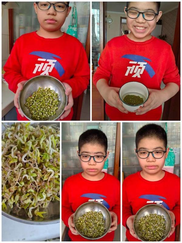 多元作业 纵享寒假 一一邯郸市丛台区展览路小学六年级数学综合实践作业展示