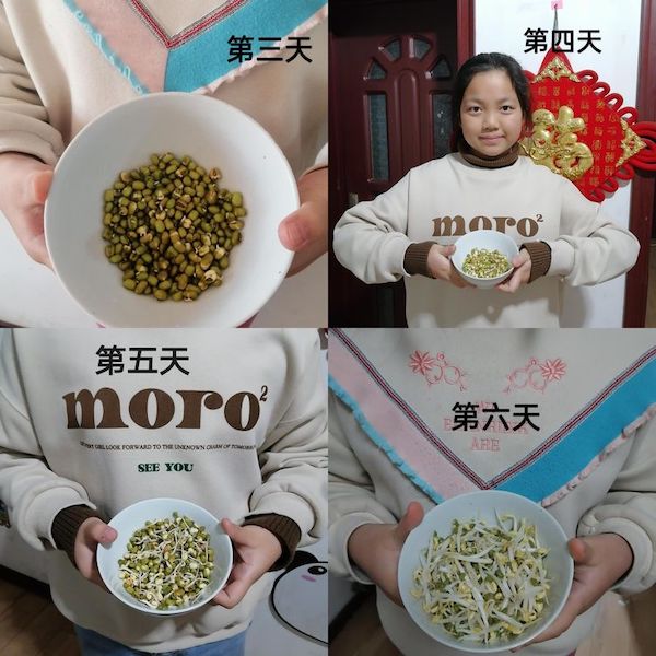 多元作业 纵享寒假 一一邯郸市丛台区展览路小学六年级数学综合实践作业展示