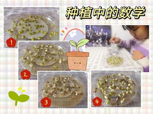 多元作业 纵享寒假 一一邯郸市丛台区展览路小学六年级数学综合实践作业展示