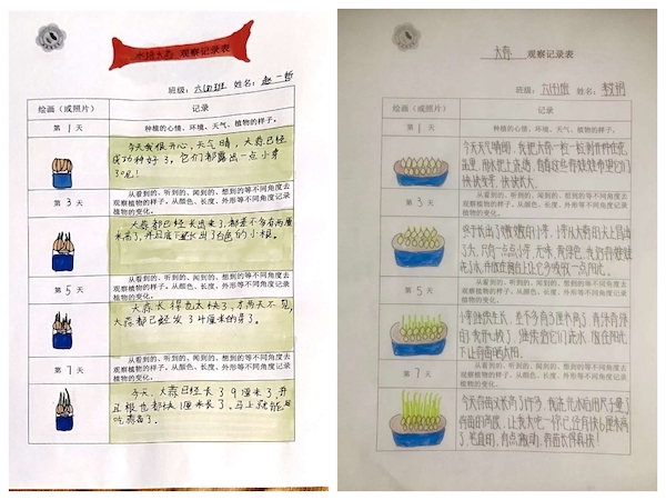 多元作业 纵享寒假 一一邯郸市丛台区展览路小学六年级数学综合实践作业展示