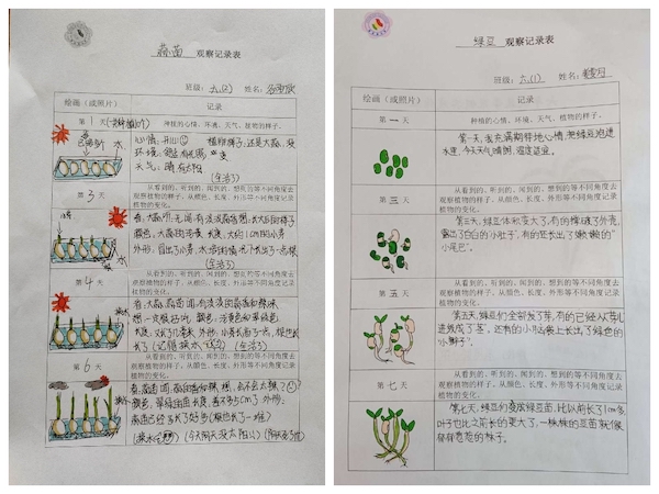 多元作业 纵享寒假 一一邯郸市丛台区展览路小学六年级数学综合实践作业展示