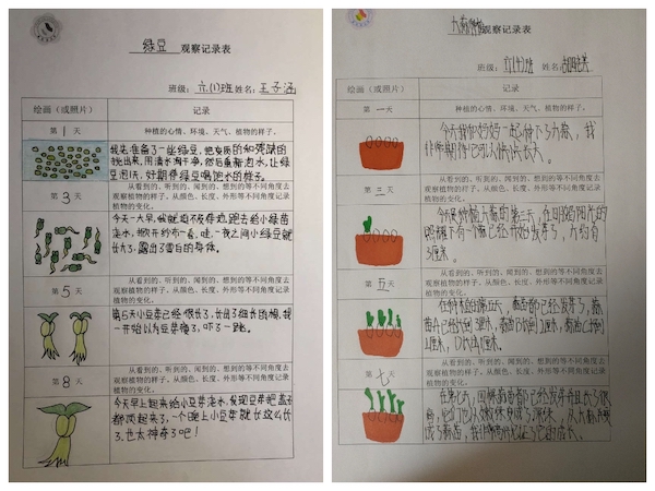 多元作业 纵享寒假 一一邯郸市丛台区展览路小学六年级数学综合实践作业展示