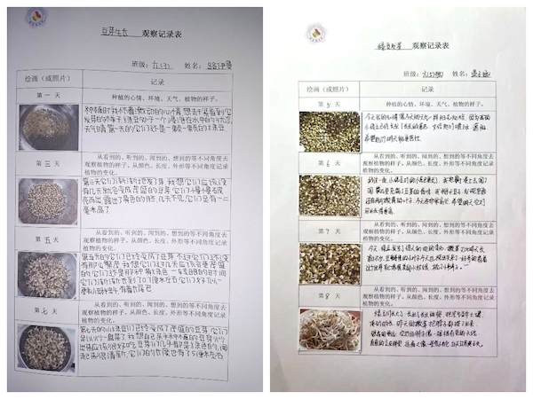 多元作业 纵享寒假 一一邯郸市丛台区展览路小学六年级数学综合实践作业展示