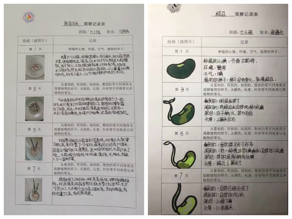 多元作业 纵享寒假 一一邯郸市丛台区展览路小学六年级数学综合实践作业展示