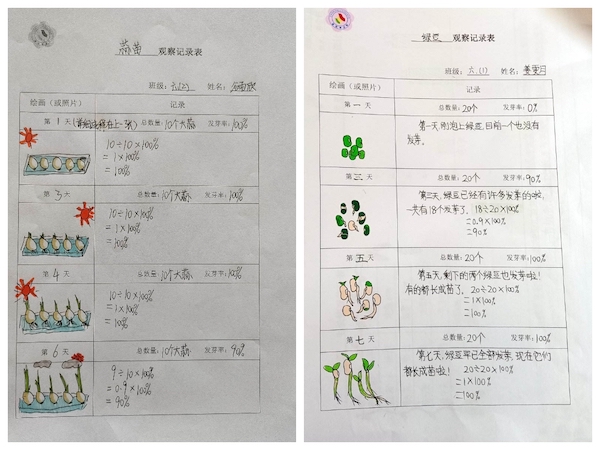 多元作业 纵享寒假 一一邯郸市丛台区展览路小学六年级数学综合实践作业展示