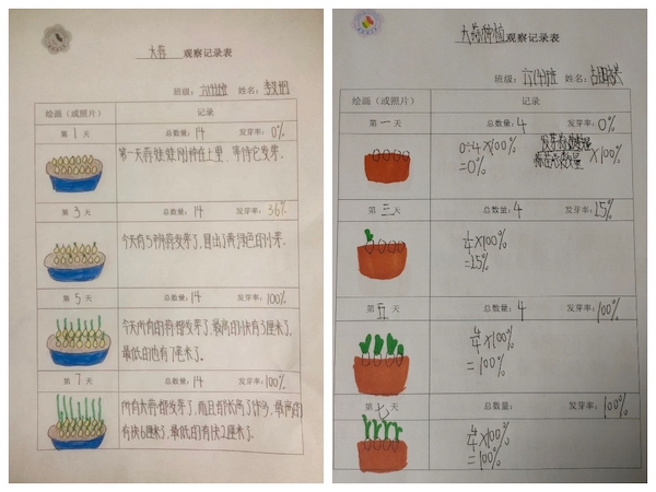 多元作业 纵享寒假 一一邯郸市丛台区展览路小学六年级数学综合实践作业展示