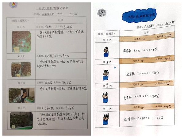 多元作业 纵享寒假 一一邯郸市丛台区展览路小学六年级数学综合实践作业展示