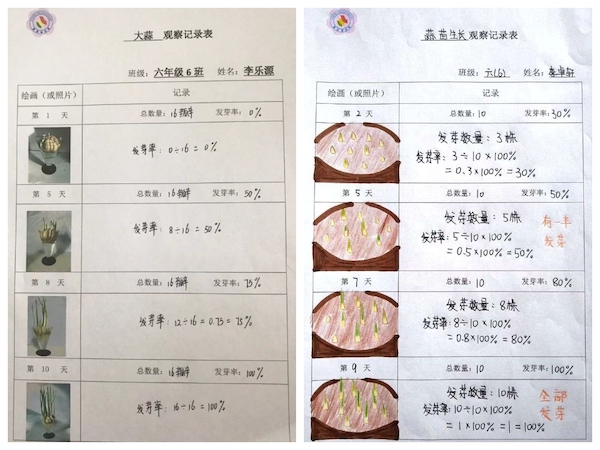 多元作业 纵享寒假 一一邯郸市丛台区展览路小学六年级数学综合实践作业展示