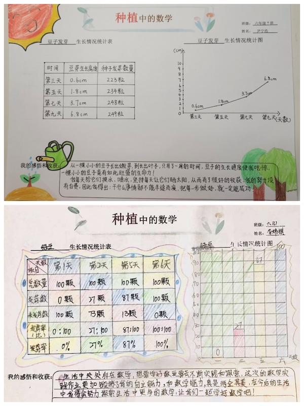 多元作业 纵享寒假 一一邯郸市丛台区展览路小学六年级数学综合实践作业展示