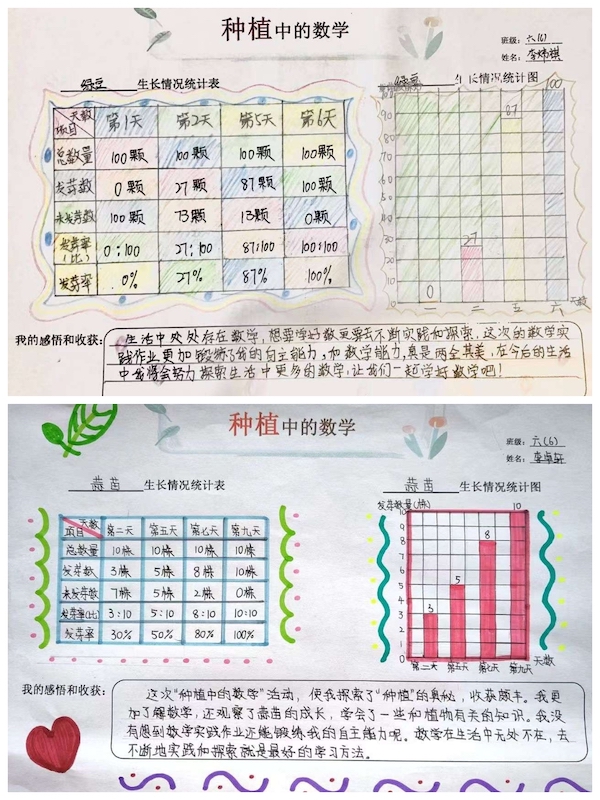 多元作业 纵享寒假 一一邯郸市丛台区展览路小学六年级数学综合实践作业展示