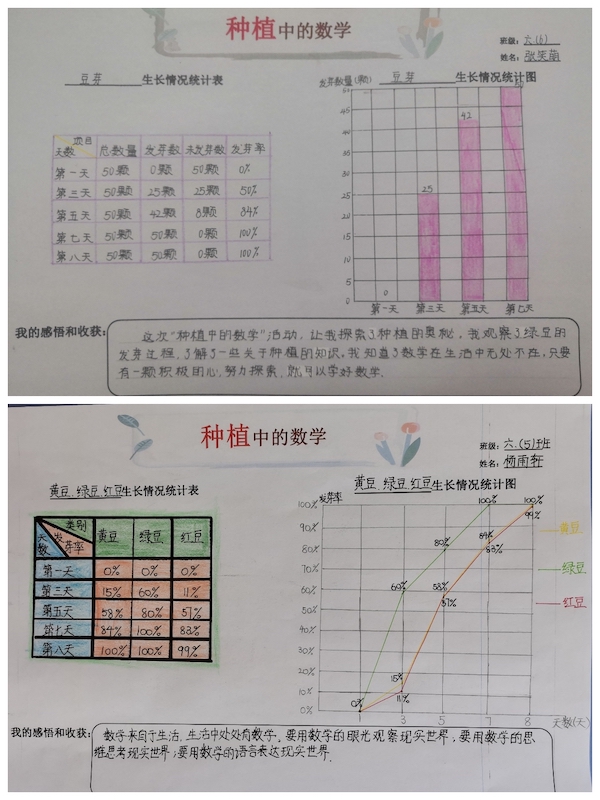 多元作业 纵享寒假 一一邯郸市丛台区展览路小学六年级数学综合实践作业展示