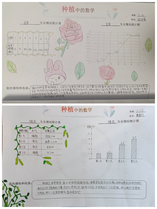 多元作业 纵享寒假 一一邯郸市丛台区展览路小学六年级数学综合实践作业展示