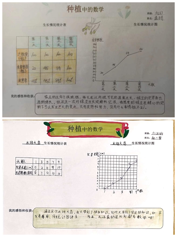 多元作业 纵享寒假 一一邯郸市丛台区展览路小学六年级数学综合实践作业展示