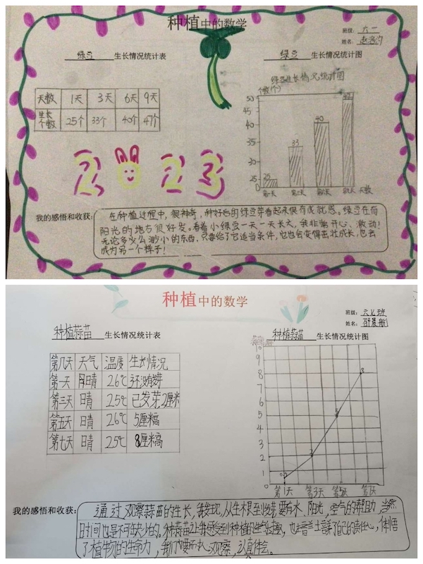 多元作业 纵享寒假 一一邯郸市丛台区展览路小学六年级数学综合实践作业展示