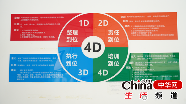 开学首记烟台市芝罘区康和小学：春光好 少年归