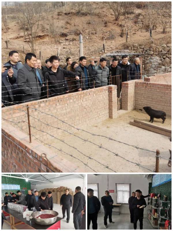 学习借鉴开思路，凝心聚力谋发展--邯郸市磁县路村营乡开展观摩学习活动