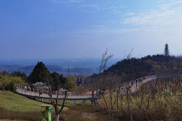 龙泉山城市森林公园第二届市民体验官2022年度分享会举行
