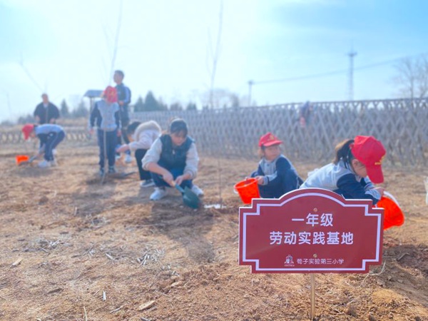 春风十里，正“植”有你｜邯郸市丛台区荀子实验第三小学植树节实践活动