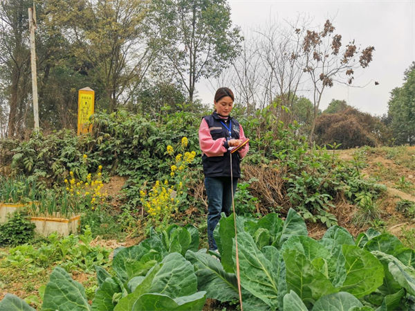 双流区黄水镇云华社区：微网实格助力社区高效拆迁