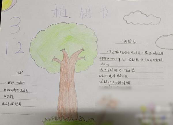 播种希望，拥抱未来——邯郸市丛台区贾村中心校招贤小学开展“植树节”系列活动