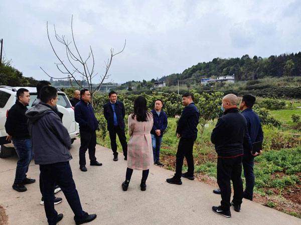 四川省自然资源厅莅仁调研农村集体经营性  建设用地入市试点工作