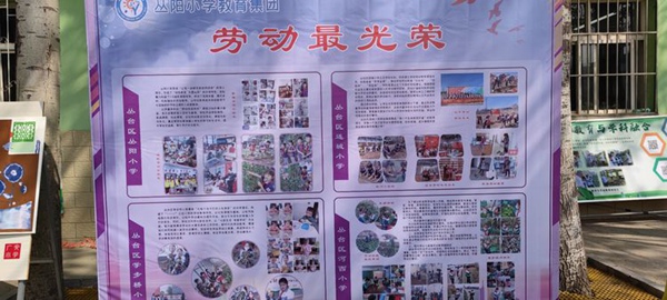 【喜报】邯郸市丛台区丛阳小学教育集团获丛台区劳动技能展示“特等奖”！劳动技能竞赛“优秀组织奖”！