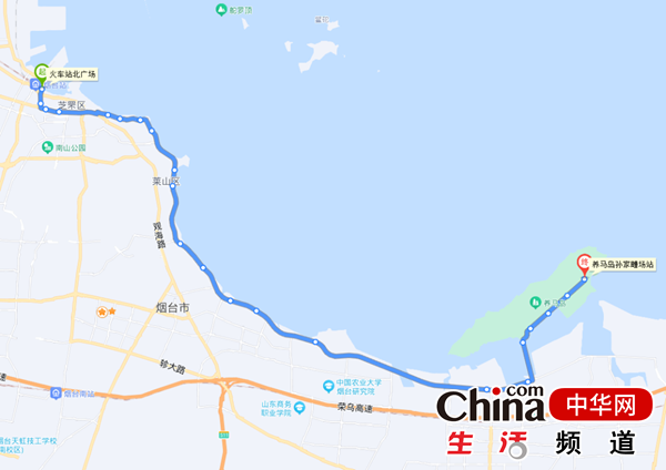 踏春出游正当时 4月1日起 旅游观光巴士植物园专线恢复运行