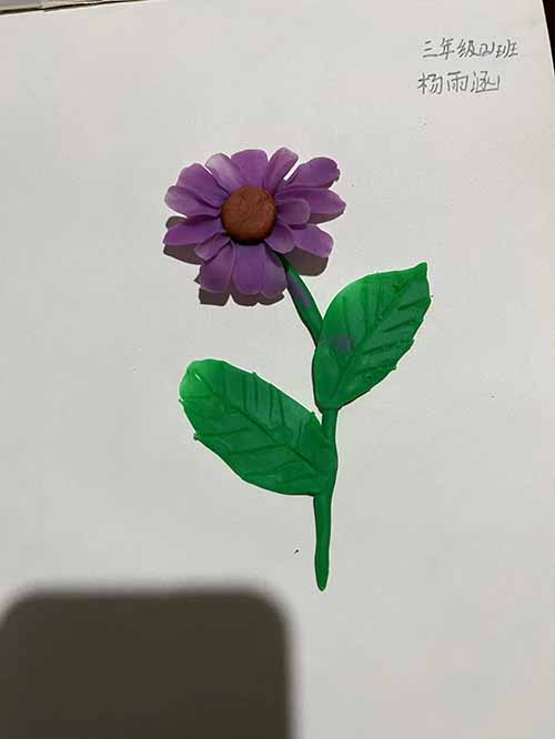 彭州市九尺小学：清明时节寄哀思 英烈精神励今人
