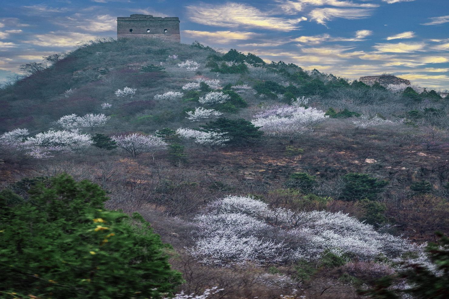 必去的山花谷,花海盛宴等你来密云云蒙山!