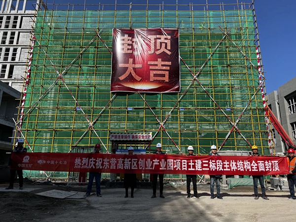 十七冶东营高新区创业产业园项目南区14#楼主体封顶