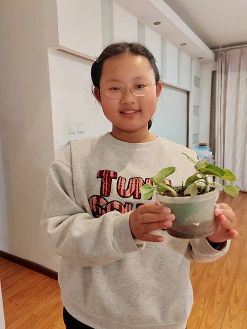 享劳动之乐 赴成长之约——彭州市延秀小学劳动教育实践活动