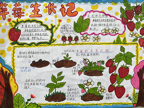 享劳动之乐 赴成长之约——彭州市延秀小学劳动教育实践活动